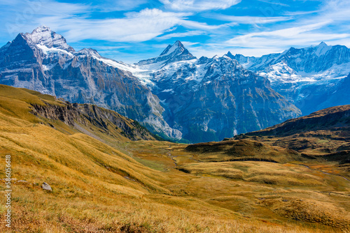 Panorama of the Alps over Grindelwald village in Switzerland photo