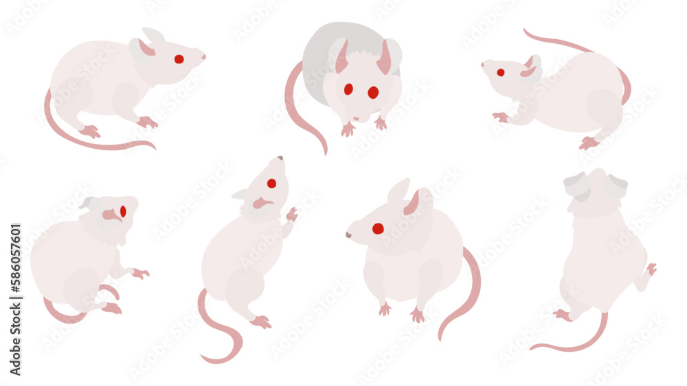 アルビノの白いハツカネズミのイラストセット。フラットなベクターイラスト。
A set of illustrations featuring albino white House mice. Flat designed vector illustration. アルビノの白いハツカネズミのイラストセット。フラットなベクターイラスト。
A set of illustrations featuring albino white House mice. Flat designed vector illustration.