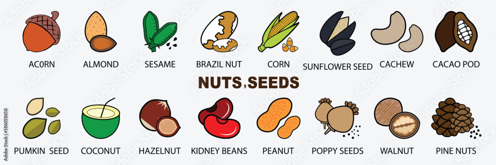 Nuts, seeds and beans elements web icon set. Simple vector illustration.
