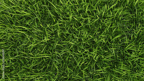 Green grass textured background, 3d render illustration.