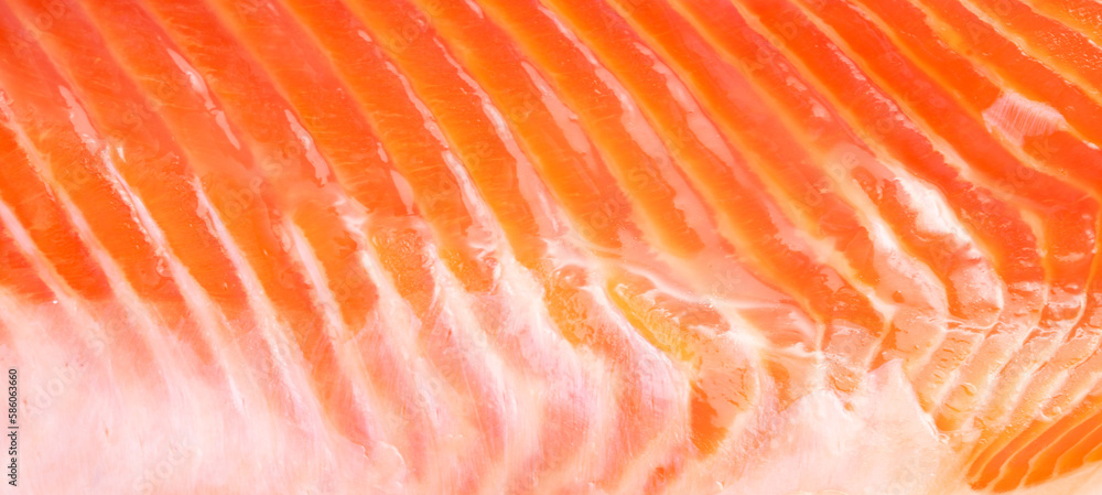 Salmon red fish fillet as a background.