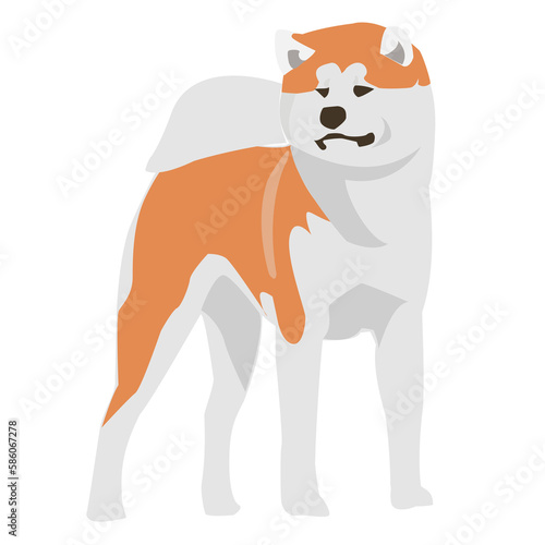 akita dog shiba inu illustration pet