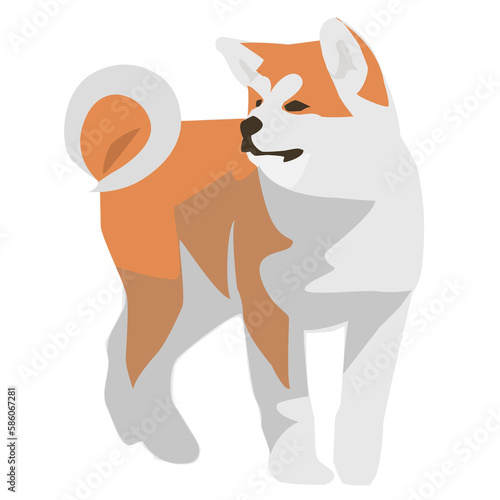 akita dog shiba inu illustration pet