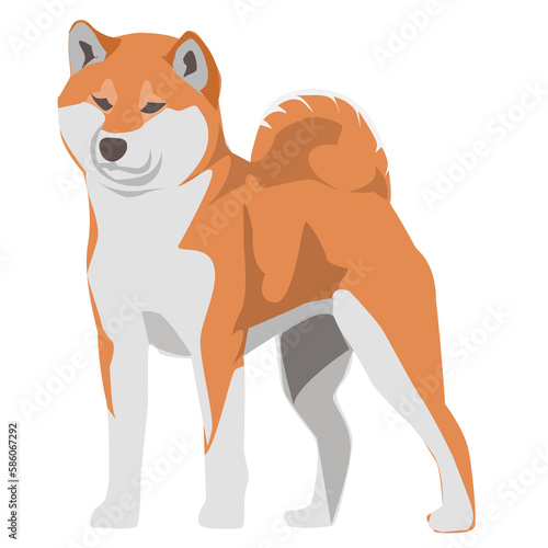 akita dog shiba inu illustration pet