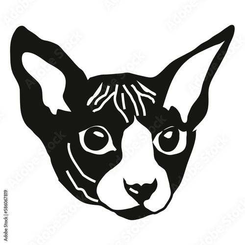 Sphynx cat