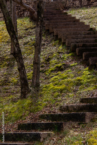 stairway in the nature