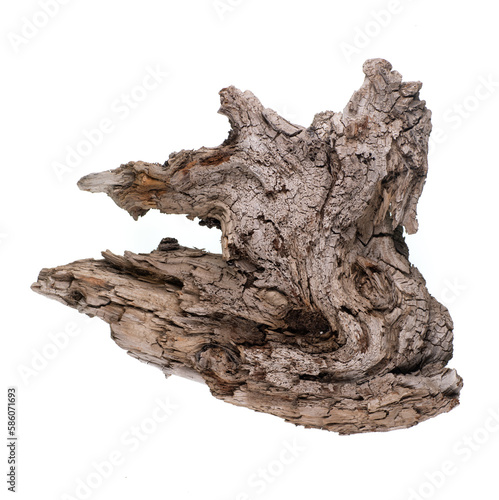 old piece of wood for aquarium isolated on white background