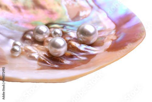 Pearl shell on a white background
