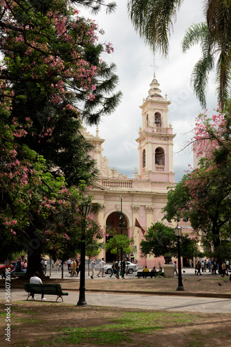 Catedral de Salta vista desde la Plaza 9 de Julio, con árboles de flores rosas, una mañana de verano en el centro de la provincia de Salta, Argentina 