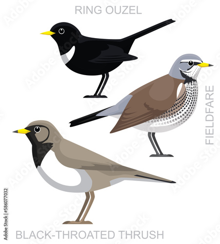 Cute Bird Ring Ouzel Fieldfare Thrush Set Cartoon Vector
