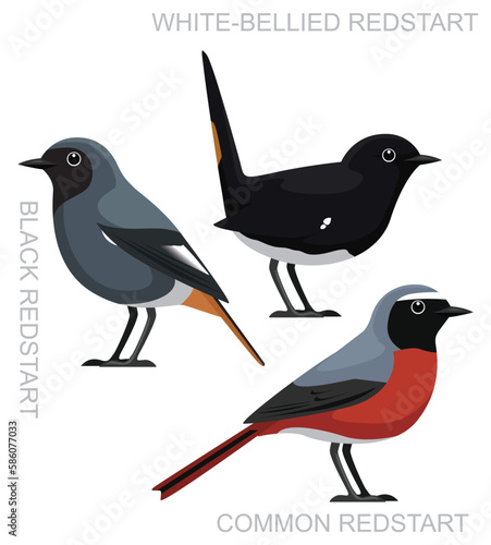 Cute Bird Common Redstart Set Cartoon Vector
