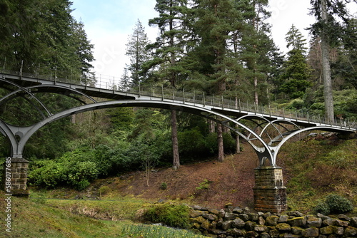 Photography Iron bridge at Cragside