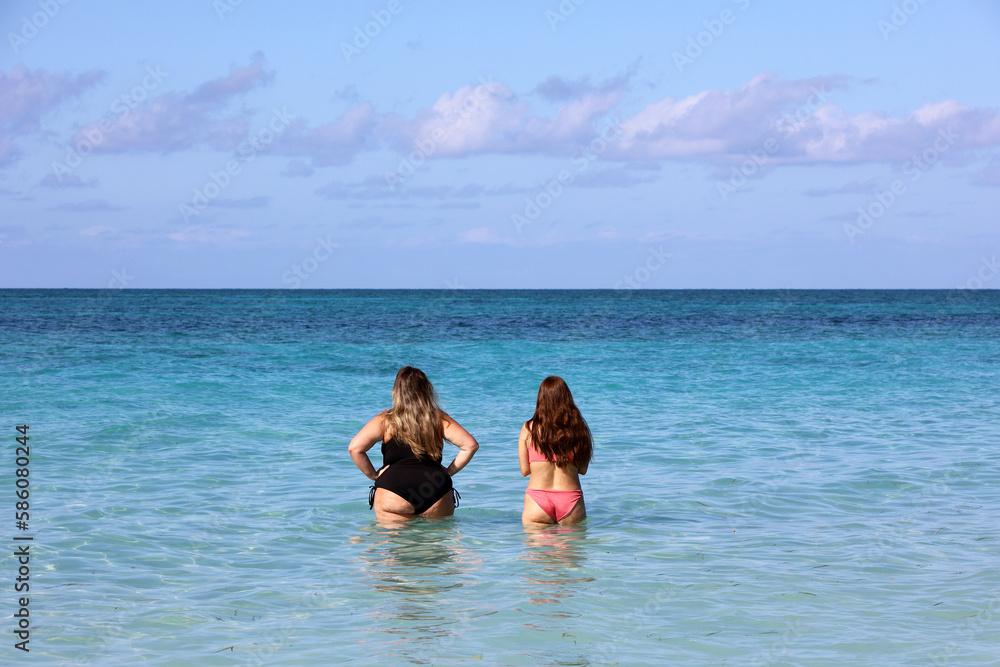 Fat and slim girls in swimwear going to swim in sea water, rear view. Two girlfriends on a beach, overweight and dieting concept Fat and slim girls in swimwear going to swim in sea water, rear view. Two girlfriends on a beach, overweight and dieting concept