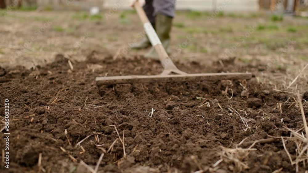 Young woman farmer works with a rake in a field in spring. Preparing the soil before planting. Close-up of a rake in the hands of a woman. Young woman farmer works with a rake in a field in spring. Preparing the soil before planting. Close-up of a rake in the hands of a woman.