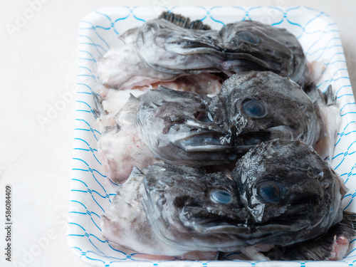 Fresh rockfish head in packaging container photo