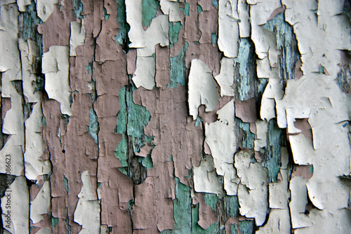 Multi-colored flakes of old paint on a board at home