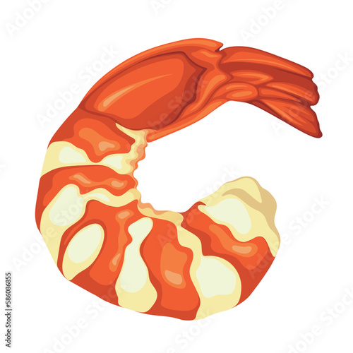 Shrimp Sea Food Crawfish Crayfish Caridean Prawn Vector Illustration Seafood