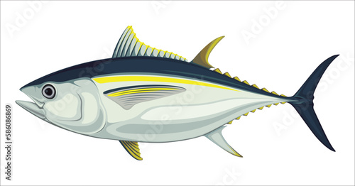 Tuna Fish Sea Food Yellowfin Vector Illustration