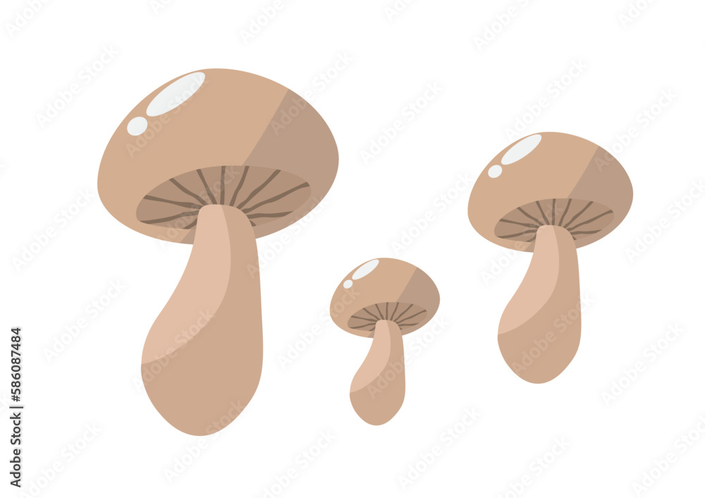 Cartoon vector icon illustration of mushroom on white background used for magazine, book, poster, card, menu cover, web pages. Cartoon vector icon illustration of mushroom on white background used for magazine, book, poster, card, menu cover, web pages.