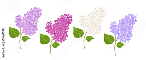 Branches of blooming lilac flowers of different colors. Set of vector cartoon illustrations.