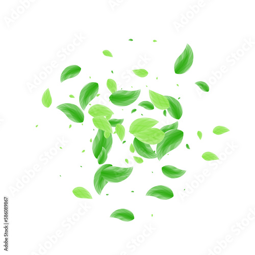 Greenish Vegetation Background White Vector. Greenery Forest Texture. Wind Frame. Light Green Delicate Card. Plant Air.