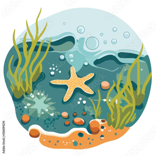 Starfish in tide pool. Underwater fish and sea creatures in natural habitat. Flat vector illustration concept