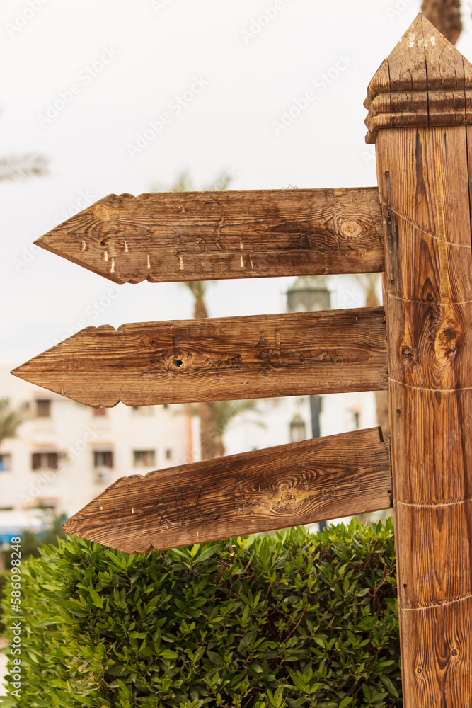 Fototapeta premium wooden signs in the park