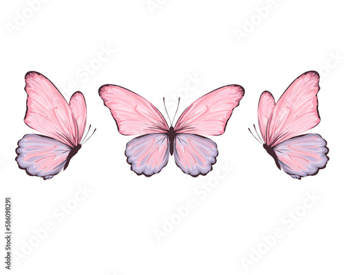 butterfly positive quote hand drawn spring