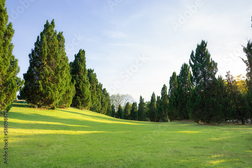 Landscape, green park or garden at outdoor with blue sky and clouds background. Include empty space on land, grass, lawn, row of plant and tree. Natural zone for city, resort, hotel, school, airport.