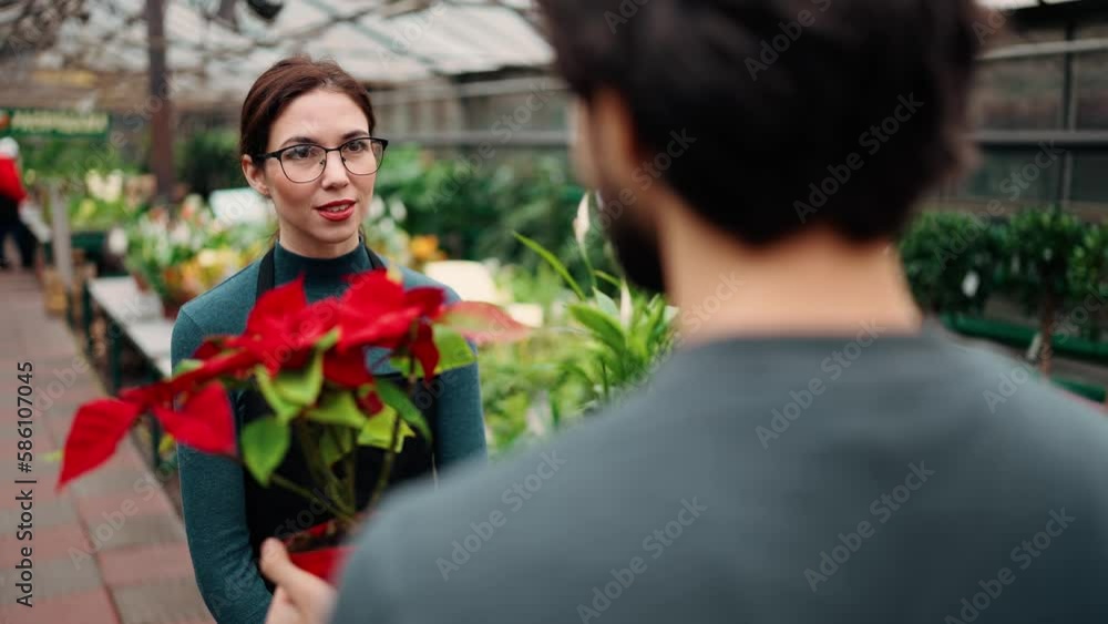 Over shoulder: a man holding two plants in pot with red flowers and talking to young female gardener in greenhouse Over shoulder: a man holding two plants in pot with red flowers and talking to young female gardener in greenhouse