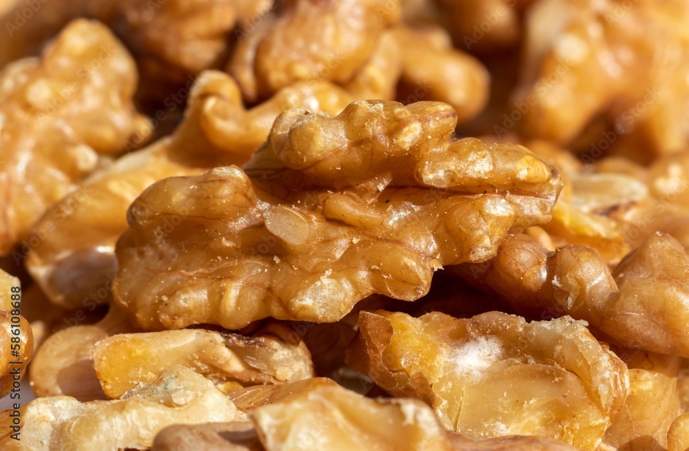 Macro of Walnut Isolated on Walnut Heap Macro of Walnut Isolated on Walnut Heap