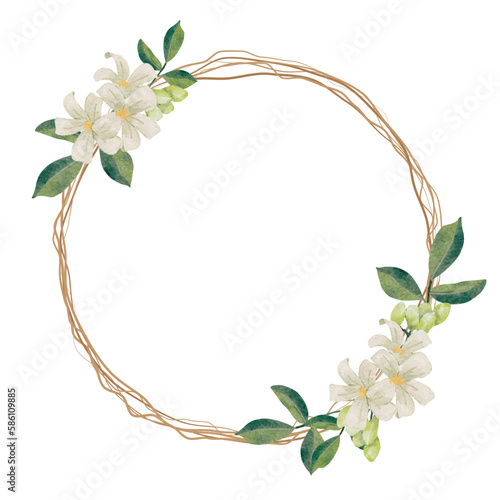 watercolor white murraya orange jasmine flower bouquet wreath frame