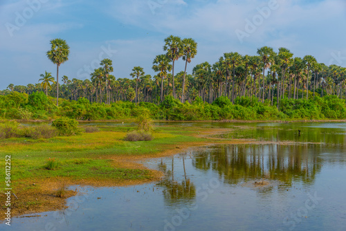 Swamps at Karaitivu island near Jaffna, Sri Lanka photo