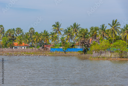 Swamps at Velanai island near Jaffna, Sri Lanka photo