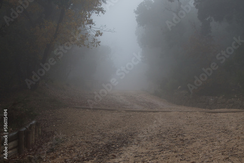 Camino en la Fuente Roja de Alcoy con niebla un dia de otoño