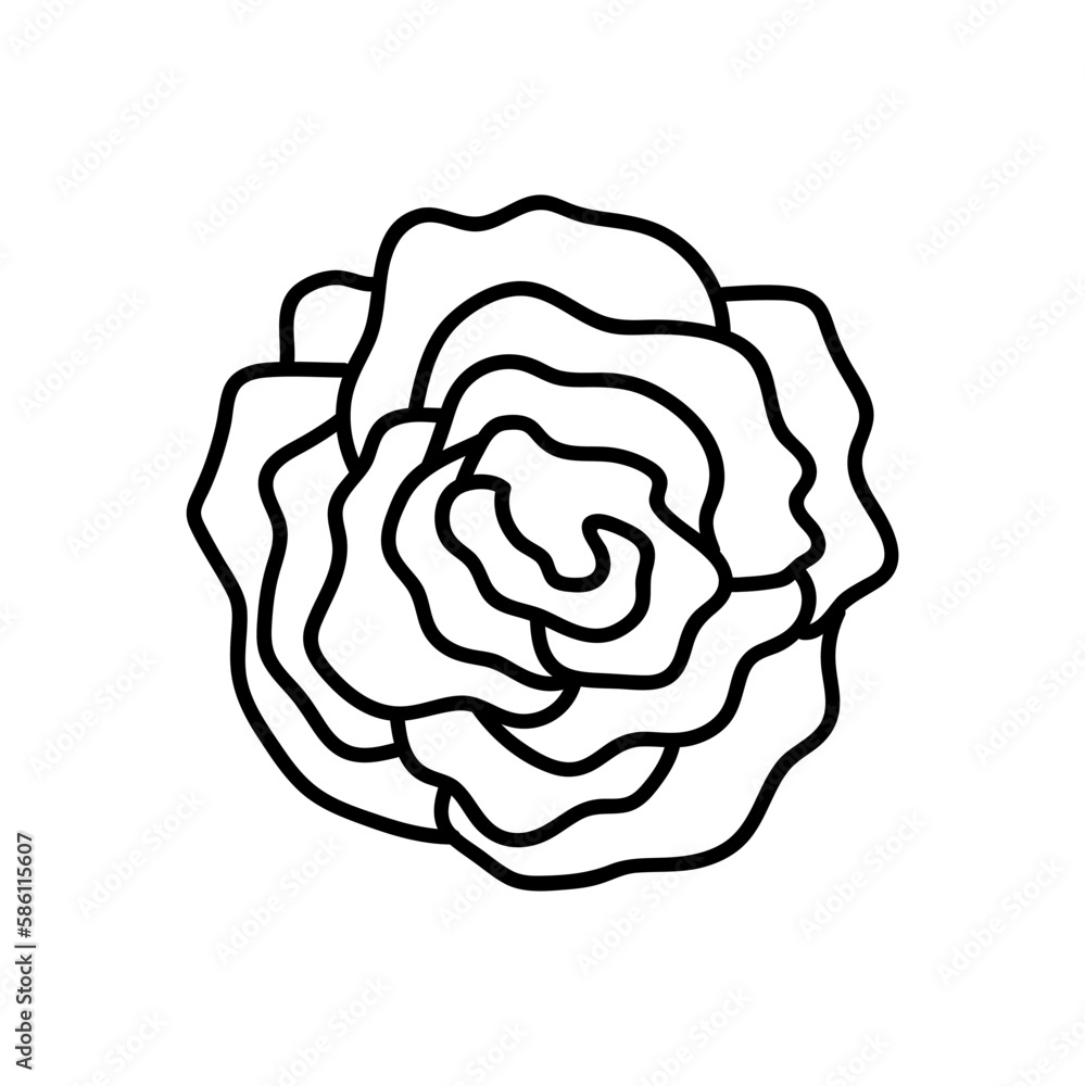 flower line on white background vector illustration using for decoration of text, cards, invitation. Sketch of leaves and flowers. flower line on white background vector illustration using for decoration of text, cards, invitation. Sketch of leaves and flowers.