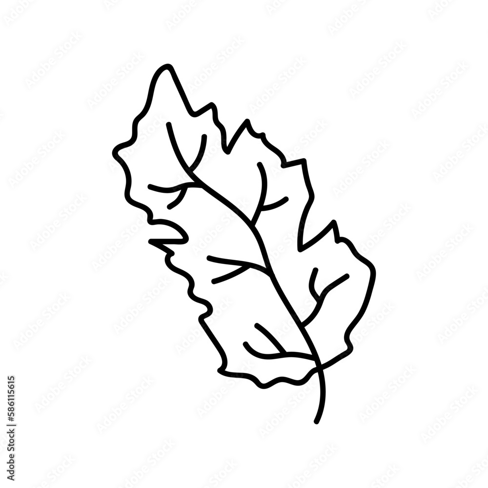 Obraz premium flower line on white background vector illustration using for decoration of text, cards, invitation. Sketch of leaves and flowers.