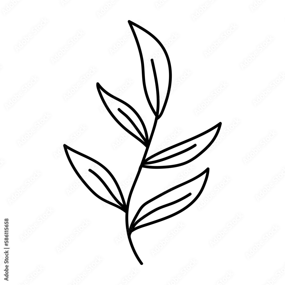 Hand drawn black floral elements on the white background. Floral decorative using for decoration of text, cards, invitation. Sketch of leaves and flowers.