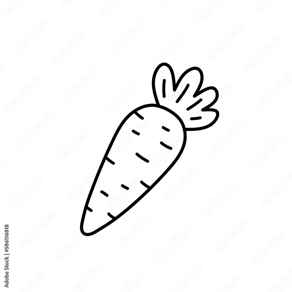 Cute carrot isolated on white background. Vector hand-drawn illustration in doodle style. Perfect for holiday designs, cards, logo, decorations, recipes. Cute carrot isolated on white background. Vector hand-drawn illustration in doodle style. Perfect for holiday designs, cards, logo, decorations, recipes.