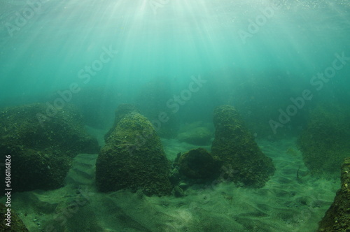 Rocks partially buried in sandy bottom in shallow water lit by backlight. Location: Leigh New Zealand