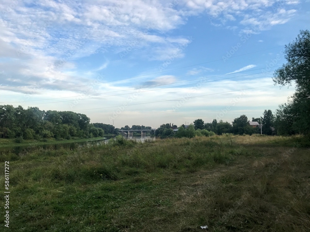 landscape with trees