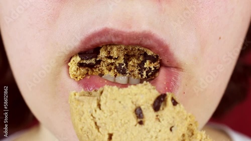 Hungry young woman biting and chewing chocolate chip cookie close up. Female eating unhealthy food concept