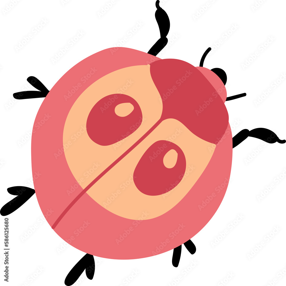 Obraz premium Cute spring beetle.