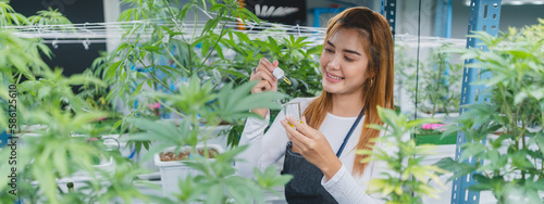 scientist checking organic ...