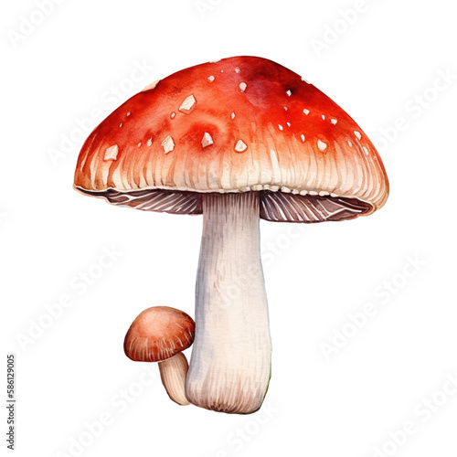 Watercolor Mushroom. Generative AI