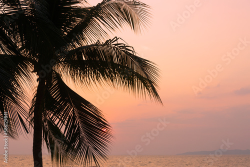 Silhouette coconut palm tree on sea and sunset sky background