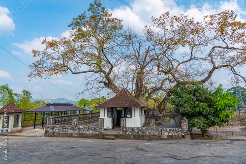 Gadaladeniya temple near Kandy, Sri Lanka photo