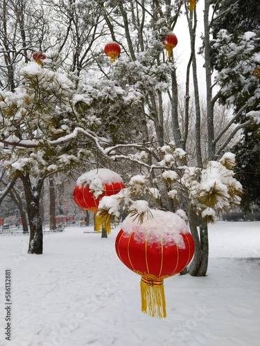 red Chinese lanterns #snow #china #lanterns #red #winter #decoration #tree #snowy #redlanterns