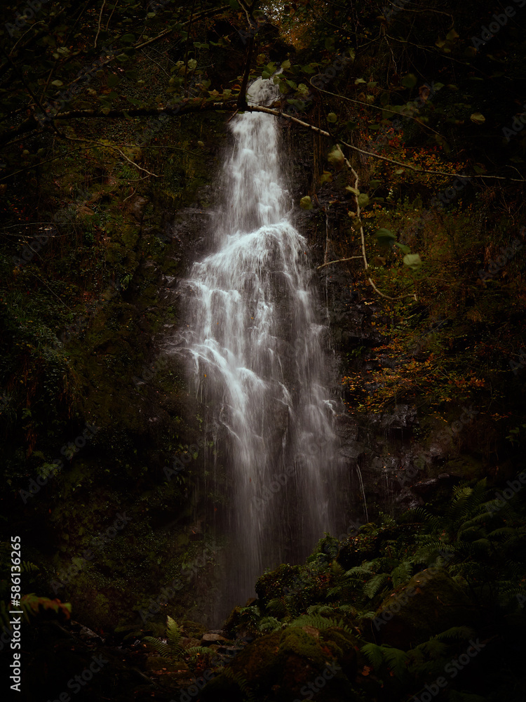 Salto de agua en un bosque oscuro Salto de agua en un bosque oscuro