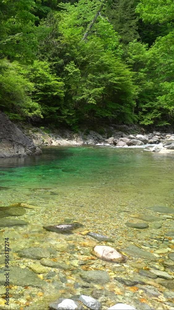 新緑の春の阿寺渓谷の縦動画 新緑の春の阿寺渓谷の縦動画